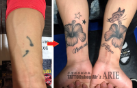 ハイビスカス(カバーアップ)