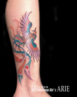 鳳凰.GirlsTATTOO