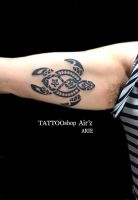 民族トライバル.亀